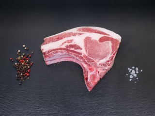 bild vom fotograf meissen